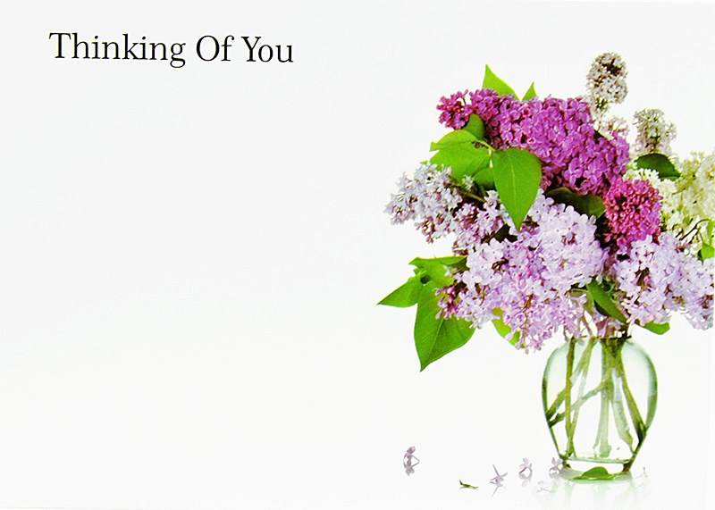 Picture of Florist Cards Large Thinking Of You x 9pcs